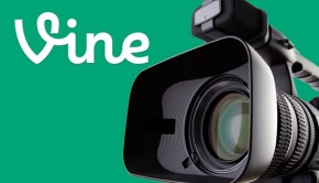 vine-