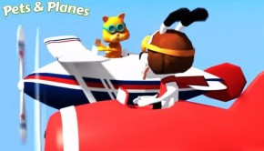 petsandplanes